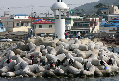 빨간등대 맞은편 등대는 항상 하얀색이다. 등대가 있는 곳에 낚시를 하면 '손맛'을 자주 본다 합니다. 